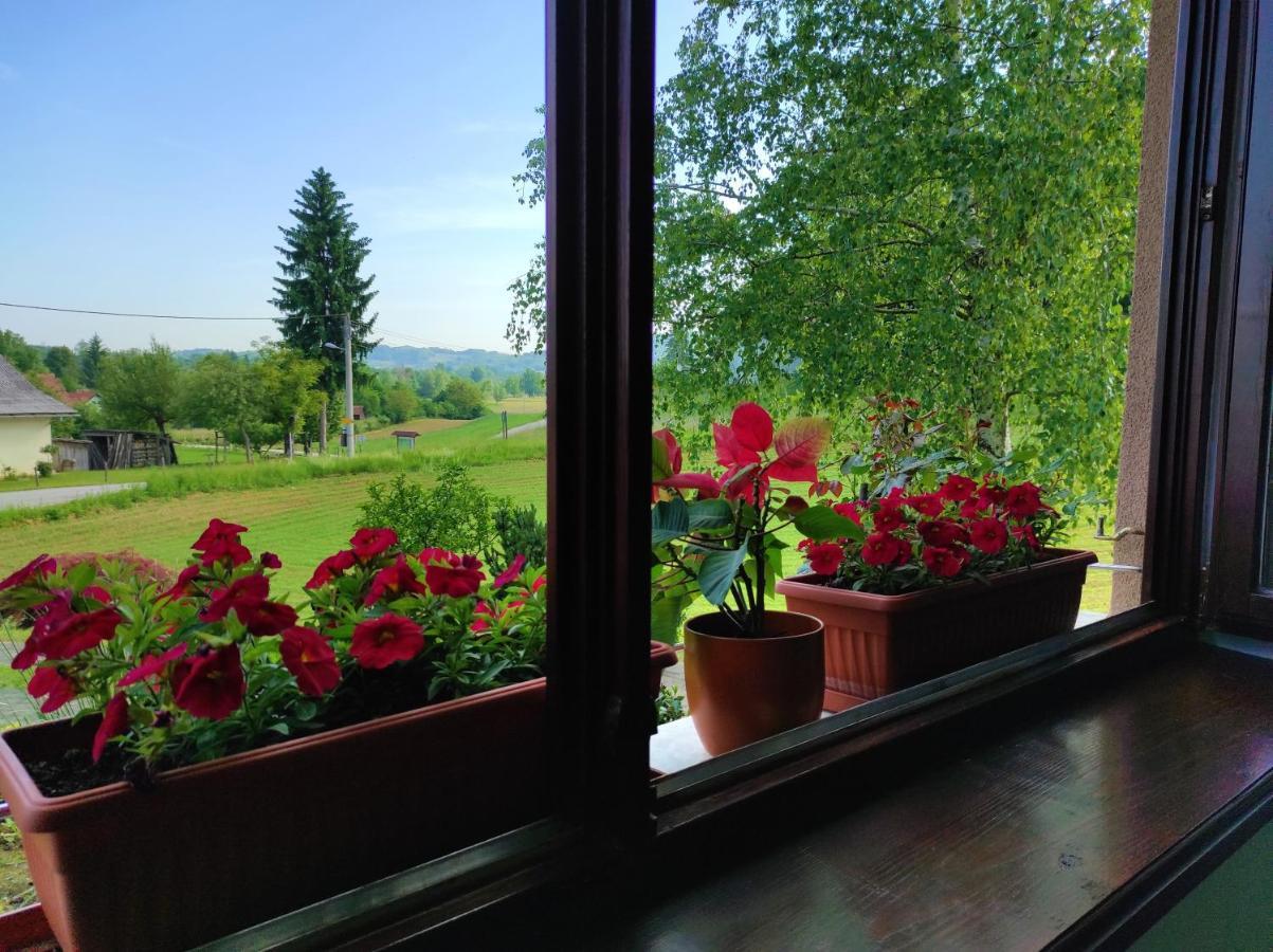 Apartment Stipcic-Mreznicki Brig Duga Resa Buitenkant foto